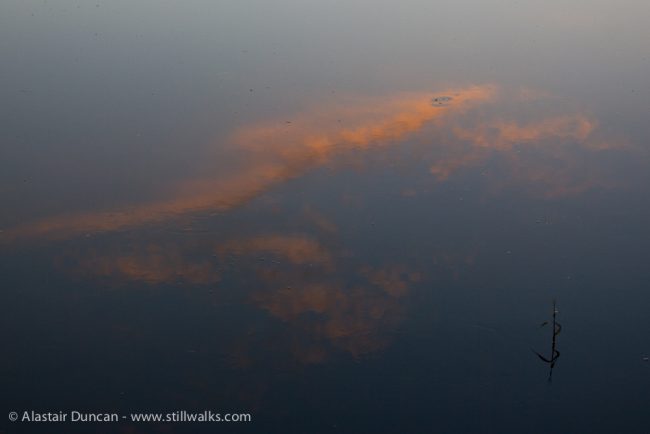 Evening cloud reflection