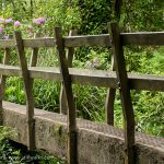 wooden woodland footbridge