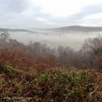 Misty valley landscape