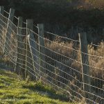 penclawdd fence