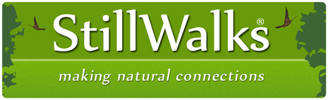StillWalks Logo