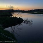 Marsh Evening silhouette
