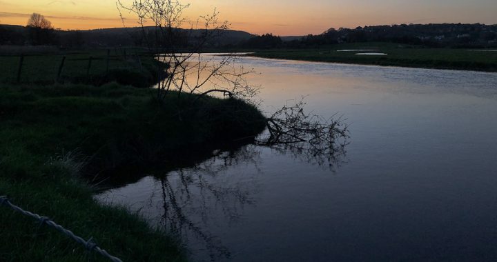 Marsh Evening silhouette