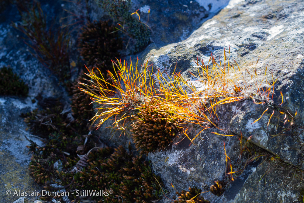 Kenfig-21 – StillWalks