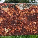 gate surface rust