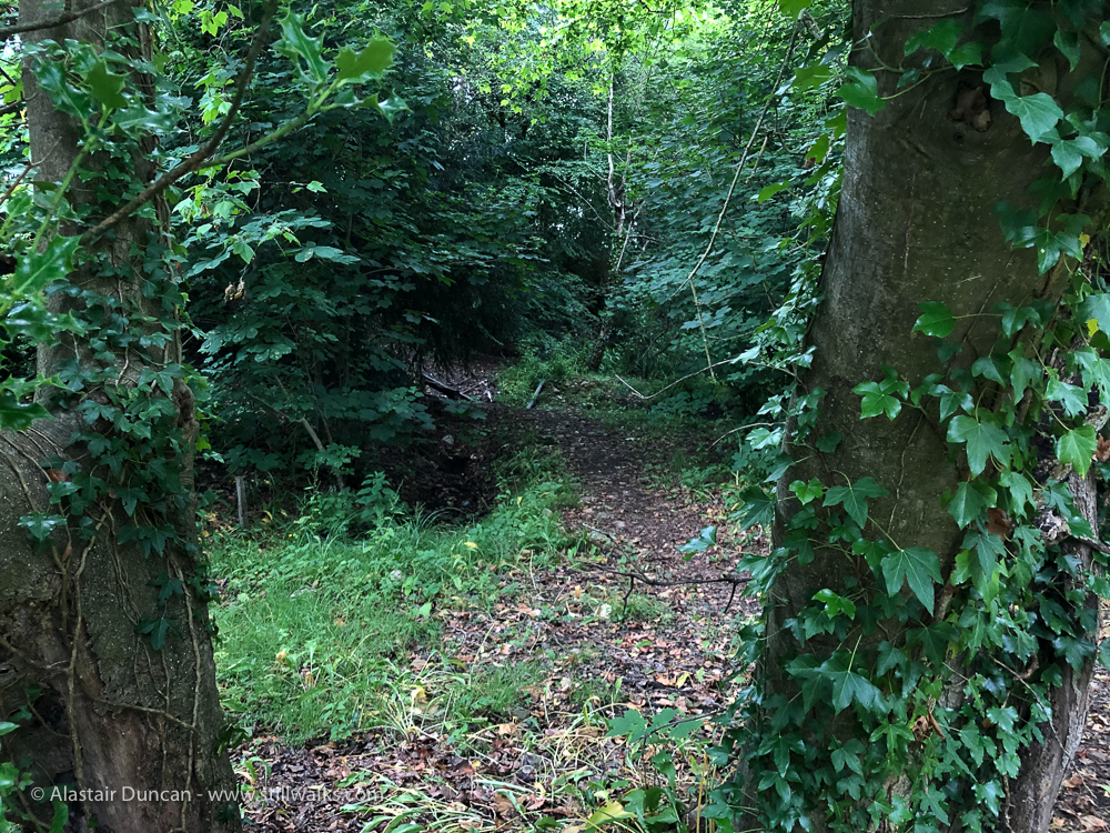 Singleton Park 2 Stillwalks