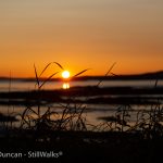 Scottish Sunsets-3